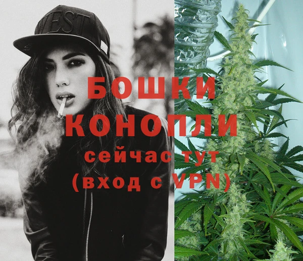 a pvp Белокуриха