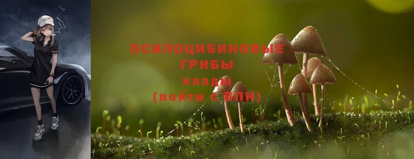 a pvp Белокуриха