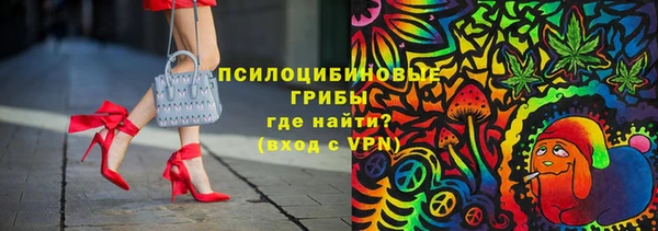 a pvp Белокуриха
