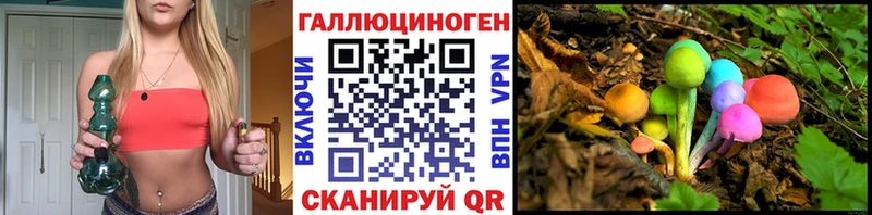 цена   Талдом  Галлюциногенные грибы Cubensis 